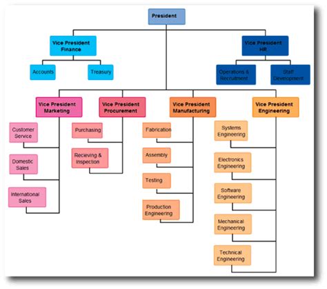 Functional Organizational Chart