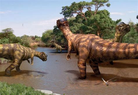 Colorado Dinosaur Images & Facts - The Online Database