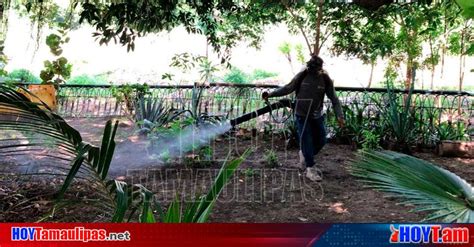 Hoy Tamaulipas Gobierno De Ciudad Madero Intensifican Acciones Contra El Dengue En Colonias Y