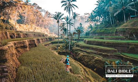 The Bali Bible | Deal | OUR WORLD FAMOUS INSTAGRAM TOUR!