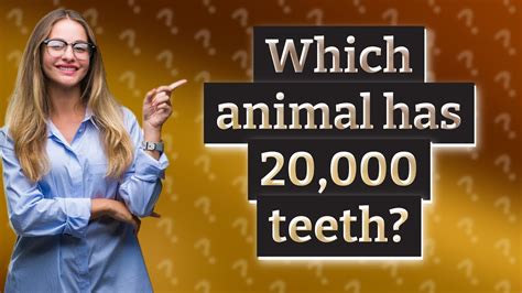 Which Animal Has 20000 Teeth Youtube