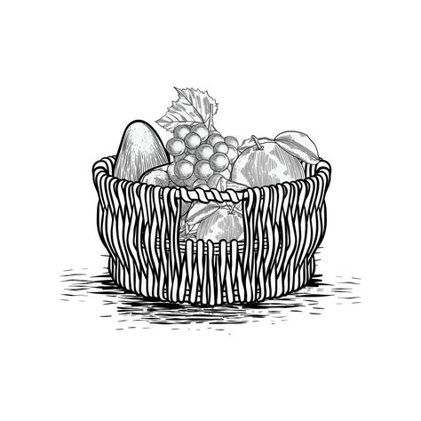 Hand Gezeichnet Obst Korb Und Obst Sammlung Illustration