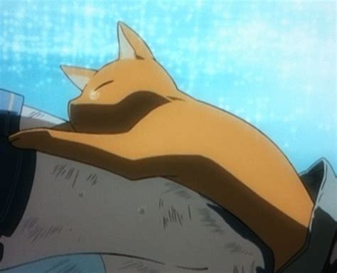 Fruits Basket Cat True Form