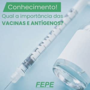 Desvendando os Mistérios dos Antígenos e Vacinas Uma Jornada Imunológica