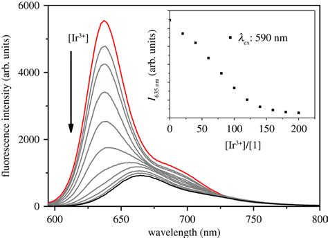 The fluorescence spectrum of probe 1 is 10 µM in DMSO in the presence