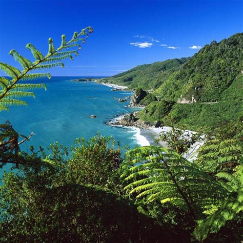 Paparoa National Park Trip Guide Activities What To See Best Bits