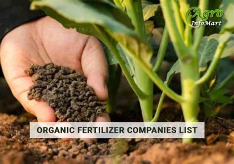 Organic Fertilizer Manufacturers Companies In India