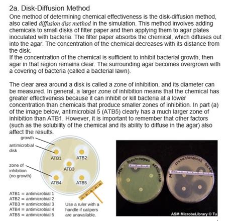 Solution SCIE1046 Activity 5 2 Control Of Microbial Growth Explore