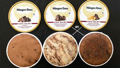 Haagen Dazs Vegan Ice Cream Non Dairy Flavors Reviews Myadraninfo