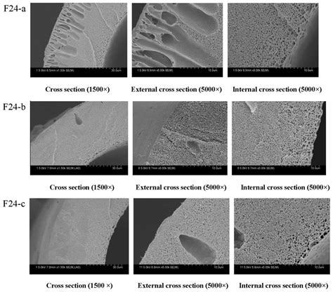 The Effect Of Peg Content On The Microstructure Of Pvdf Hollow Fiber