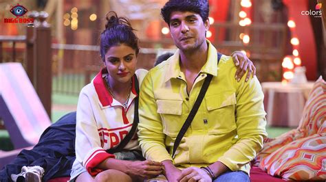 Bigg Boss 16 Are Priyanka Ankit Dating Vote Movies