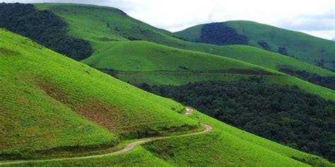 Chikmagalur | Beautiful Haven Nestled in the Western Ghats - Gudlu Blog