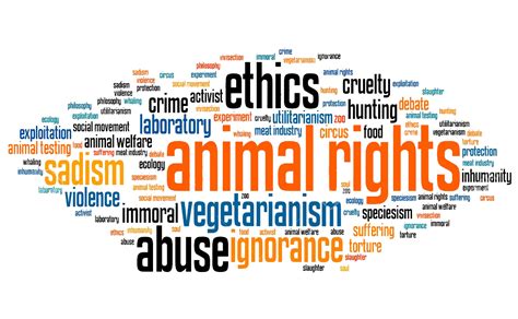 37. Animal Rights in 2020 Hindsight | The Vegan Blog