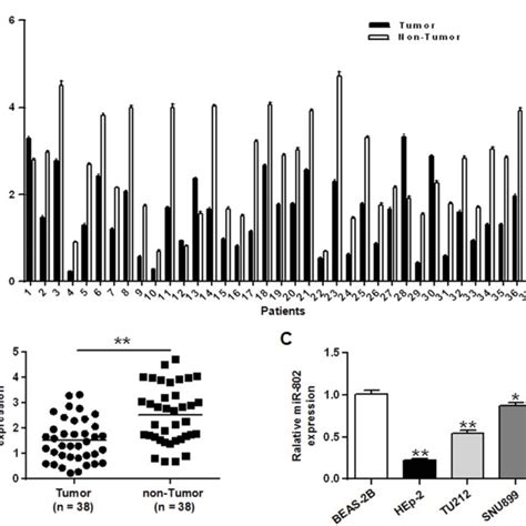 Mir Was Down Regulated In Laryngeal Cancer Cell Lines And Tissues