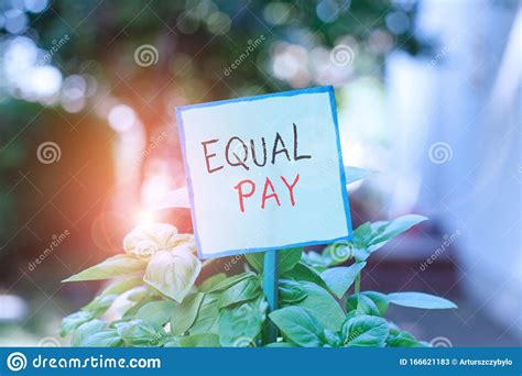 Conceptual Hand Writing Showing Equal Pay Business Photo Text Rights That Individuals In The