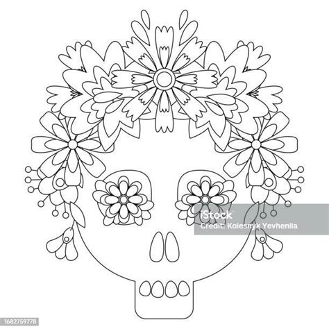 Sugar Skull Stock Illustration Download Image Now Art Bone Book