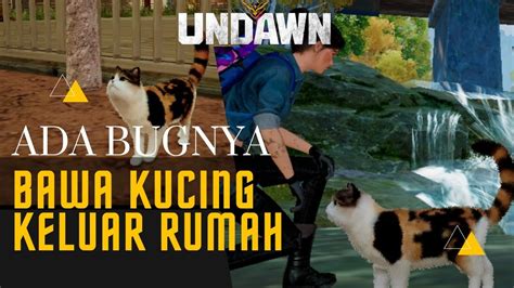 Cara Membawa Kucing Keluar Dan Cara Mendapatkan Pet Undawn Youtube