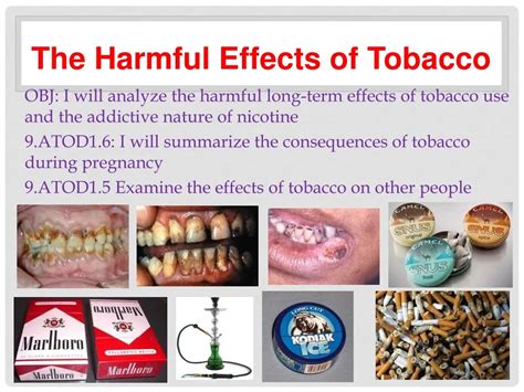 Ppt The Harmful Effects Of Tobacco Powerpoint Presentation Free