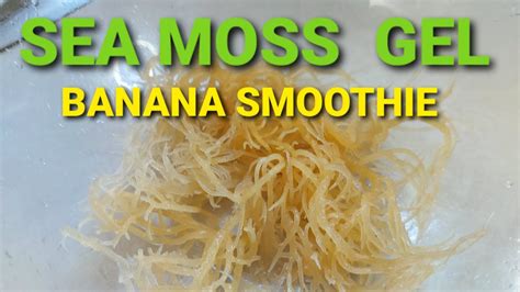 How To Make Sea Moss Gel Banana Smoothie Recipe With Homemade Almond