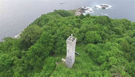 20 Fatos Sobre A Ilha Da Queimada Grande Maior Lar De Cobras Do Mundo