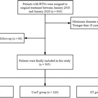 Flow Chart Of Patient Inclusion And Exclusion In This Study Btns