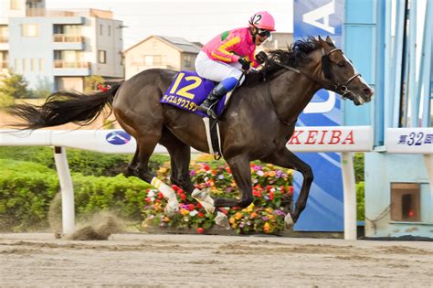 テレ玉杯オーバルスプリント Jpniii 2022｜特集おトク情報楽天競馬