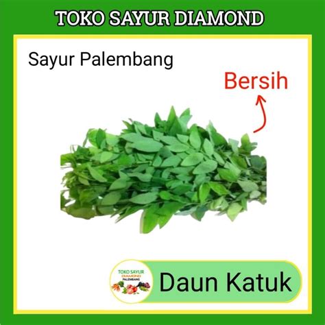 Jual Daun Katuk Katu Per Ikat Sayur Mayur Segar Palembang Shopee