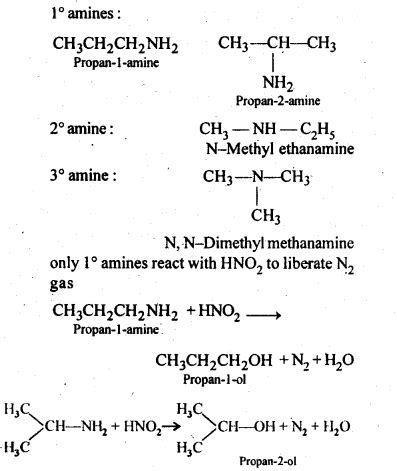 Amines Class Ncert Notes