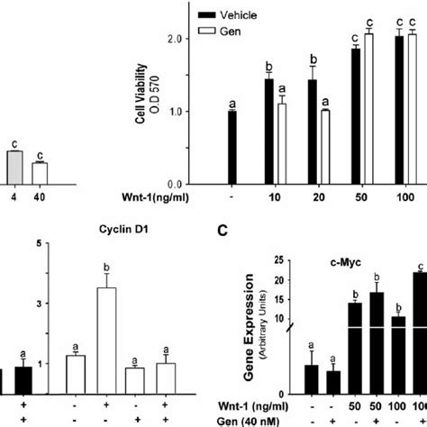 Gen Inhibits Basal And Wnt 1 Induced Proliferation In HC11 Cells A