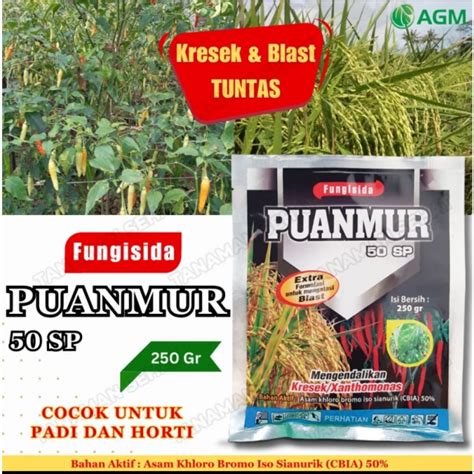 Jual Puanmur Sp Kemasan Gram Fungusida Sistemik Efektif