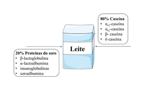 Proteína do leite fonte de peptídeos atraentes propriedades