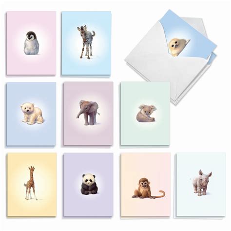 20 Assorted Blank Note Cards Bulk Bulk Pack 4 X 5.12 Inch W/ Envelopes ...