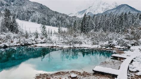 Zelenci Springs Nature Reserve Near Kranjska Gora Slovenia In Winter