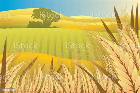 Beautiful Autumn Background Stock Illustration Download Image Now