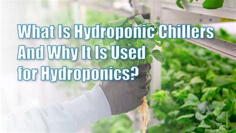 What Is Hydroponic Chillers And Why It Is Used For Hydroponics