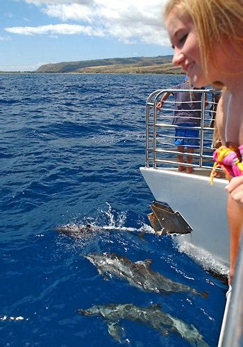 Deluxe Na Pali Snorkel Cruise Kauai Sea Tours