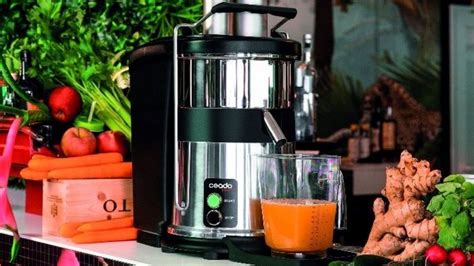 The Importance of Maintaining Commercial Juicing Equipment