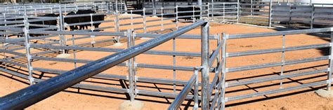 Temperate Breed Cattle Yard Features Proway