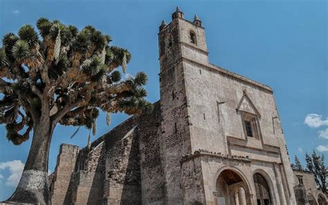 Momia de Epazoyucan Historia y cómo llegar El Sol de Hidalgo