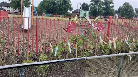 BBC Radio Leicester Ady Dayman 07 06 2023 Community Garden Targeted