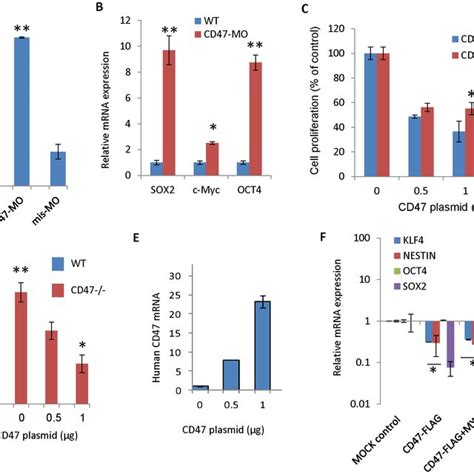 Cd Expression Regulates C Myc And Stem Cell Transcription Factor