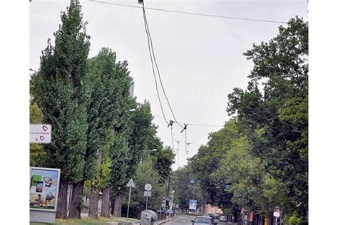 Тролейбусните жици убили жена били увиснали с метър два