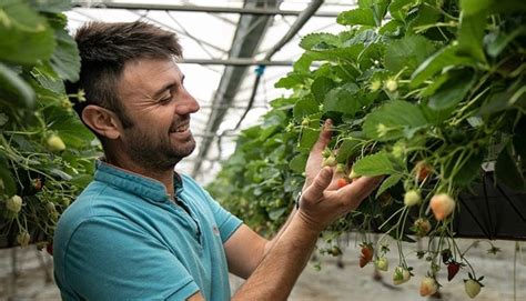 SANTAFOO l appli marseillaise engagée pour les agriculteurs