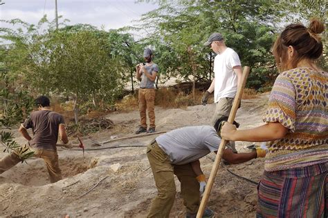 Permaculture Volunteer Greening The Desert Project