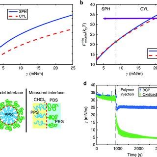 Synthesis Of A Poly Lauryl Methacrylate Macro CTA Via RAFT Solution