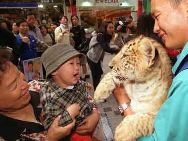 Liger Hercules enters Guinness Records for giant size-Fwire News , Firstpost