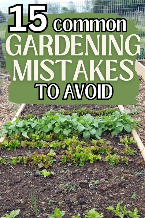 15 Common Gardening Mistakes To Avoid