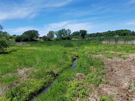 Steiger Lake Wetland Restoration Minnehaha Creek Watershed District