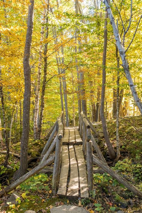 Premium Photo | Beautiful fall colors of Acadia National Park