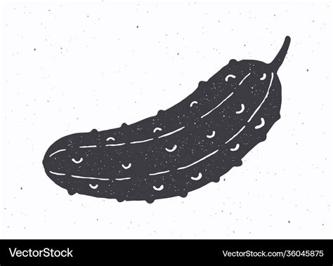 Cucumber Or Pickle Silhouette Royalty Free Vector Image